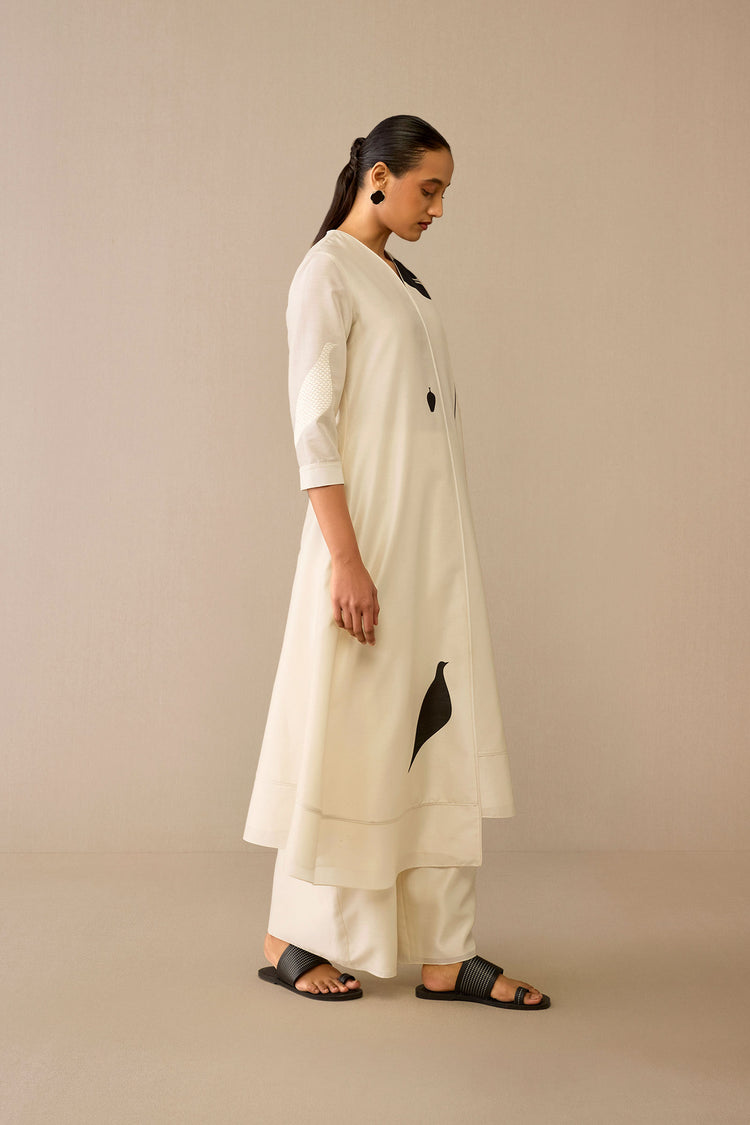 Dilruba Kurta Set